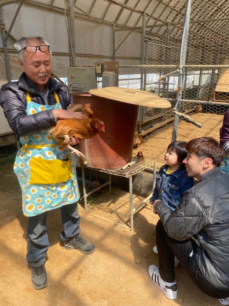 36개월 아기랑 1박2일 천안여행(2)/아빠사랑팜 유정란체험...