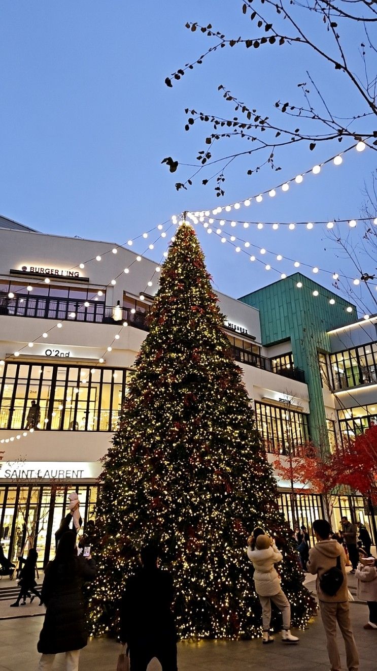 대전 유성구 현대프리미엄아울렛 대전점 대형 크리스마스트리