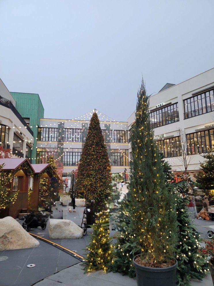 대전 현대프리미엄아울렛에 크리스마스 트리가