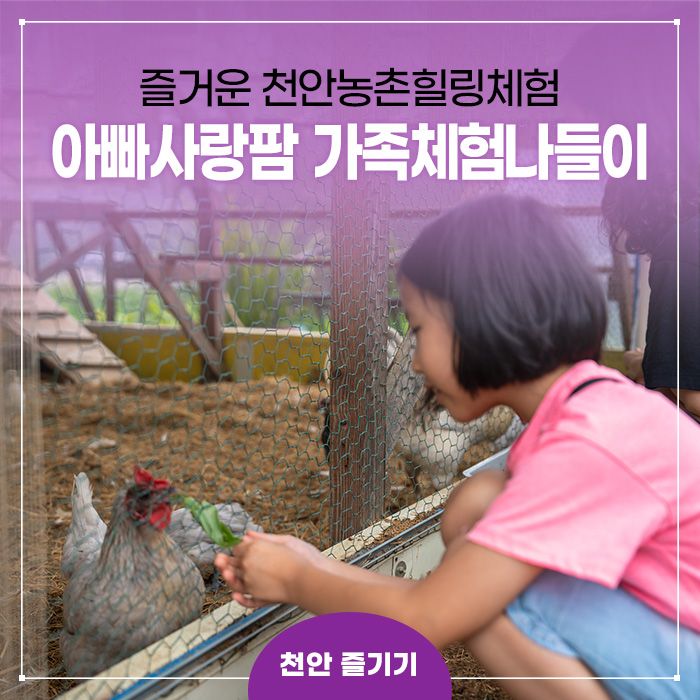 천안농촌힐링체험 아빠사랑팜에서 즐거운 가족체험나들이