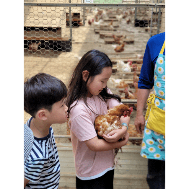 아이랑 함께 가족이 갈만한 동물체험 농장 추천 : 아빠사랑팜