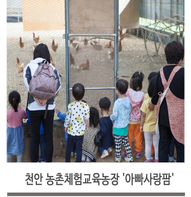 천안 농촌체험교육농장 '아빠사랑팜'