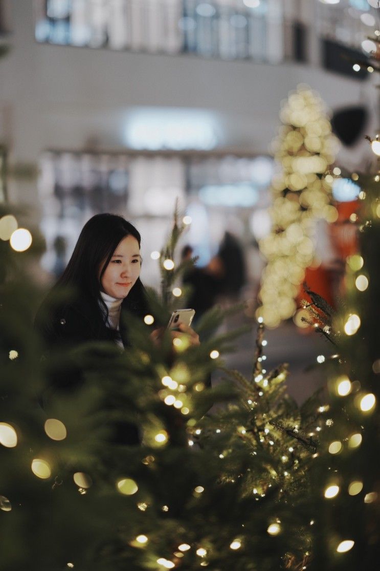 트리는 대전 신세계백화점 / 대전 현대 프리미엄아울렛 대왕트리