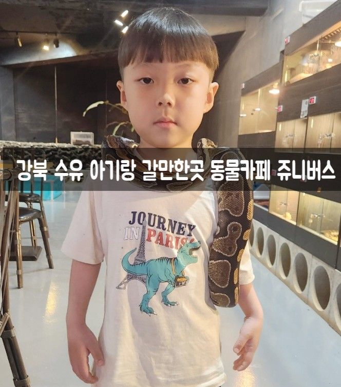 강북 수유 아기랑 갈만한곳 동물카페 쥬니버스
