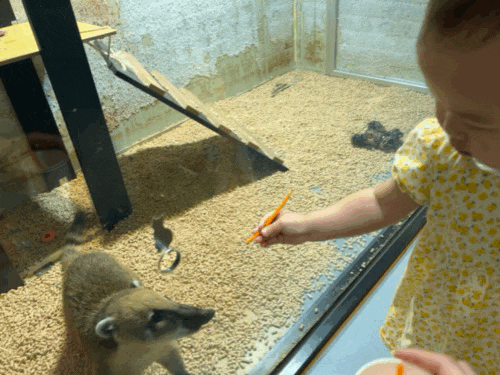 강북구 아기랑 갈만한곳 | 수유 실내동물원 쥬니버스