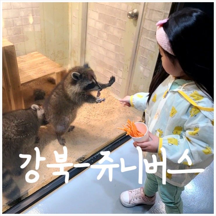 [강북-쥬니버스] 5세 아이와 함께한 실내 동물원 나들이