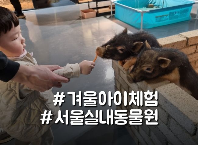 서울 실내동물원, 겨울 아이와 가볼만한곳:) 쥬니버스