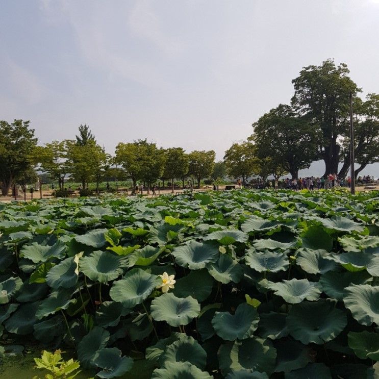 양평 당일치기 여행!