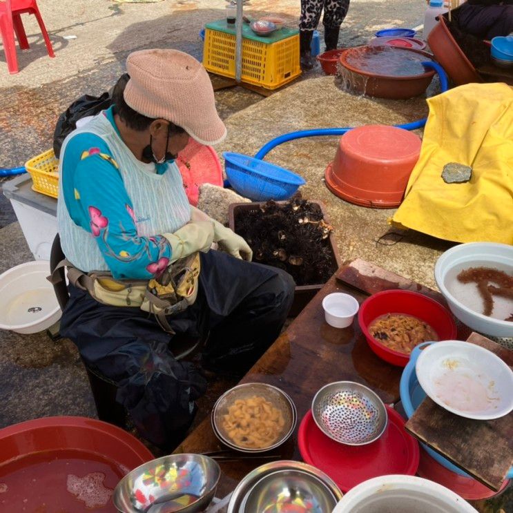 최대섭김밥/ 고성 고고비치서프/ 일번길포차/ 갯배피자