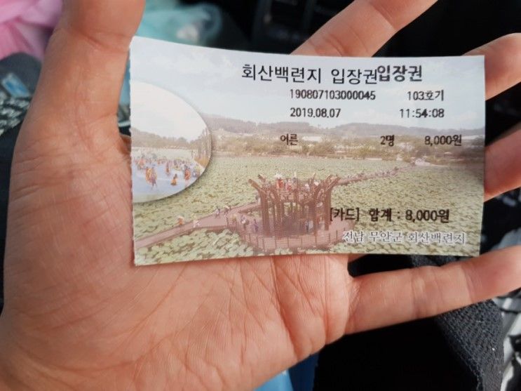 무안 가볼만한곳 ㅡ회산백련지