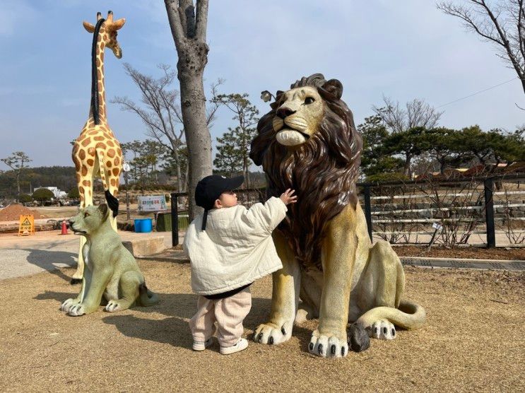 무안  회산백련지 목포근교 아이랑 가보기