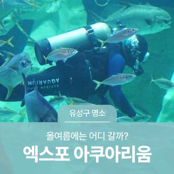 대전 유성구 가볼 만한 곳... 어디 갈까? '대전 엑스포 아쿠아리움!'