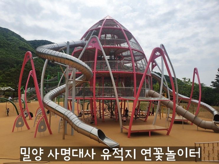 밀양 사명대사 유적지 관광단지 "연꽃타워 놀이터" (이용꿀팁, 주차장, 먹거리)