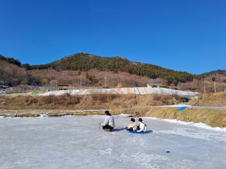 [경기 양평군 용문면] 동물체험... 얼음썰매 가능한 양평양떼목장