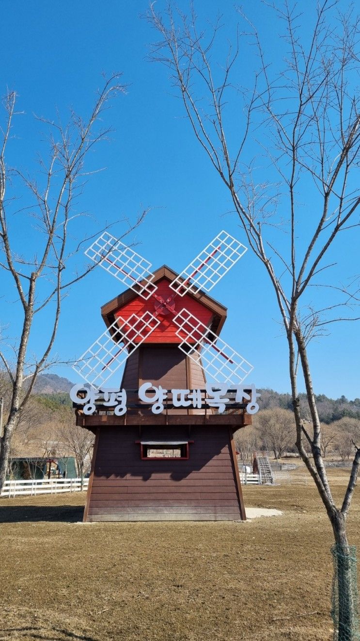 양평 양떼목장 / 양평맛집 아라해물칼국수 양평코스...