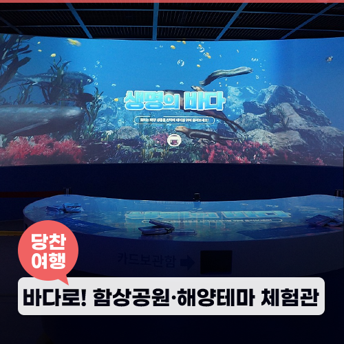 겨울방학에 아이랑 갈만한 곳, 삽교호 함상공원 해양테마체험관