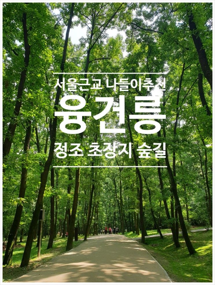 융건릉 정조 초장지 숲길 개방 방문 후기