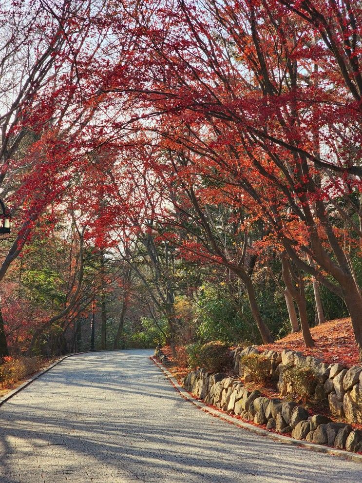 불국사 석굴암 입장료 X - 무료입장, 주차장 (09~17시)