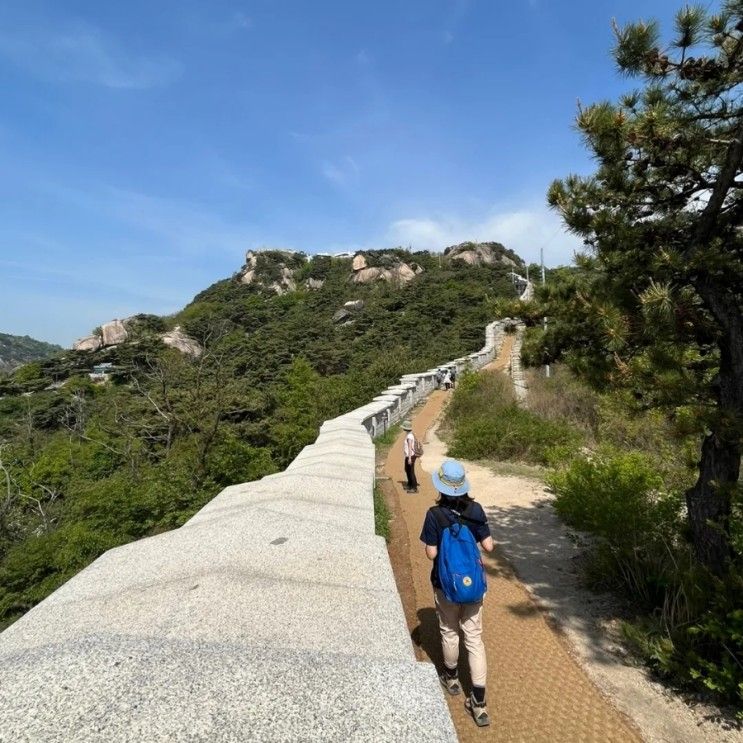 인왕산 봄 산행 (독립문역 - 청운 문학도서관 코스)