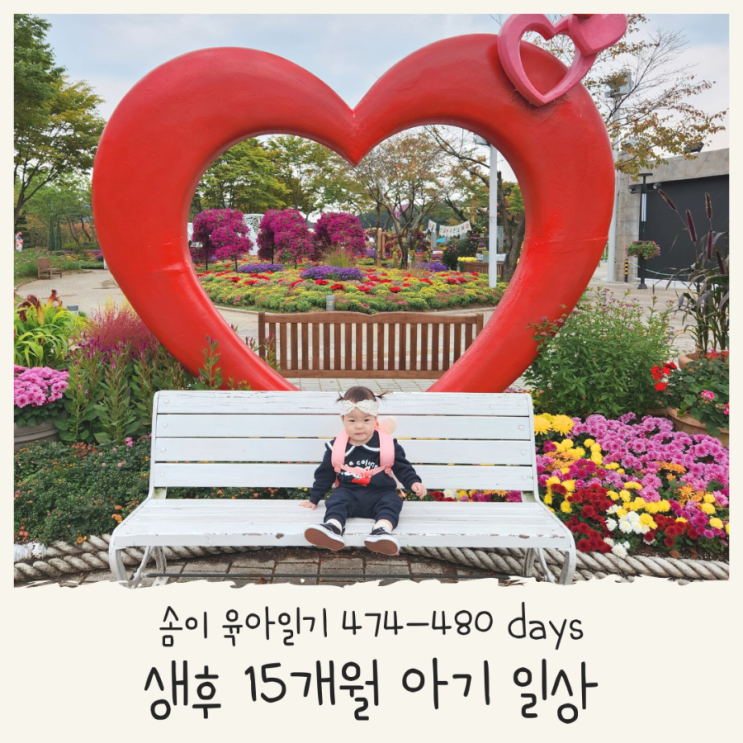 육아기록 474-480days 경기도어린이박물관 대전오월드...