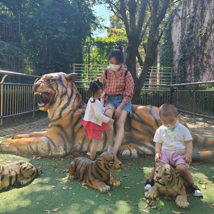 세종시 2살 3살 아기랑 나들이 대전오월드