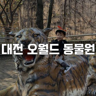 대전 오월드 동물원 2살 아기랑 다녀왔어요