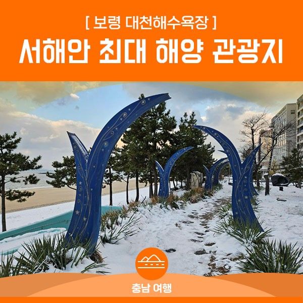 서해안 최대의 해양 관광지 '대천해수욕장'