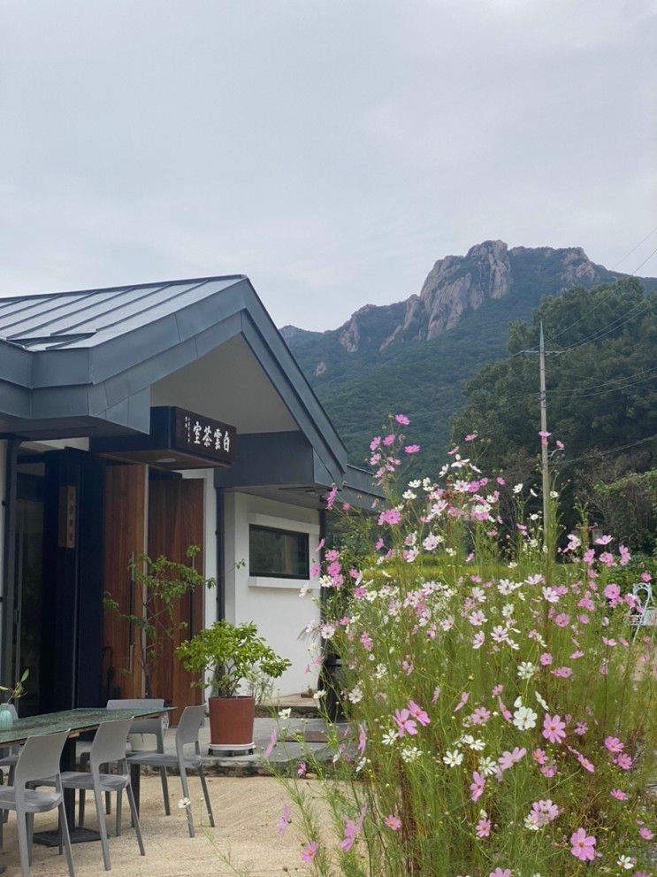 월출산이 보이는 강진 분위기 맛집 “백운차실(白雲茶室)”