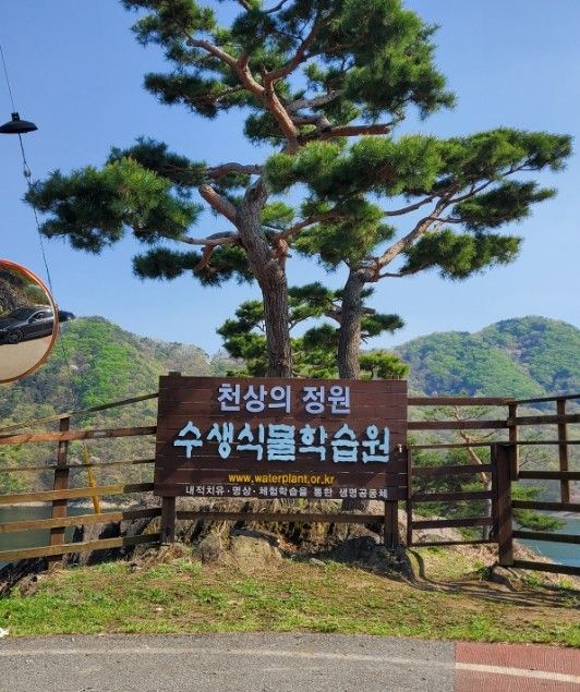 [충북옥천여행] 가볼만한곳 수생식물학습원