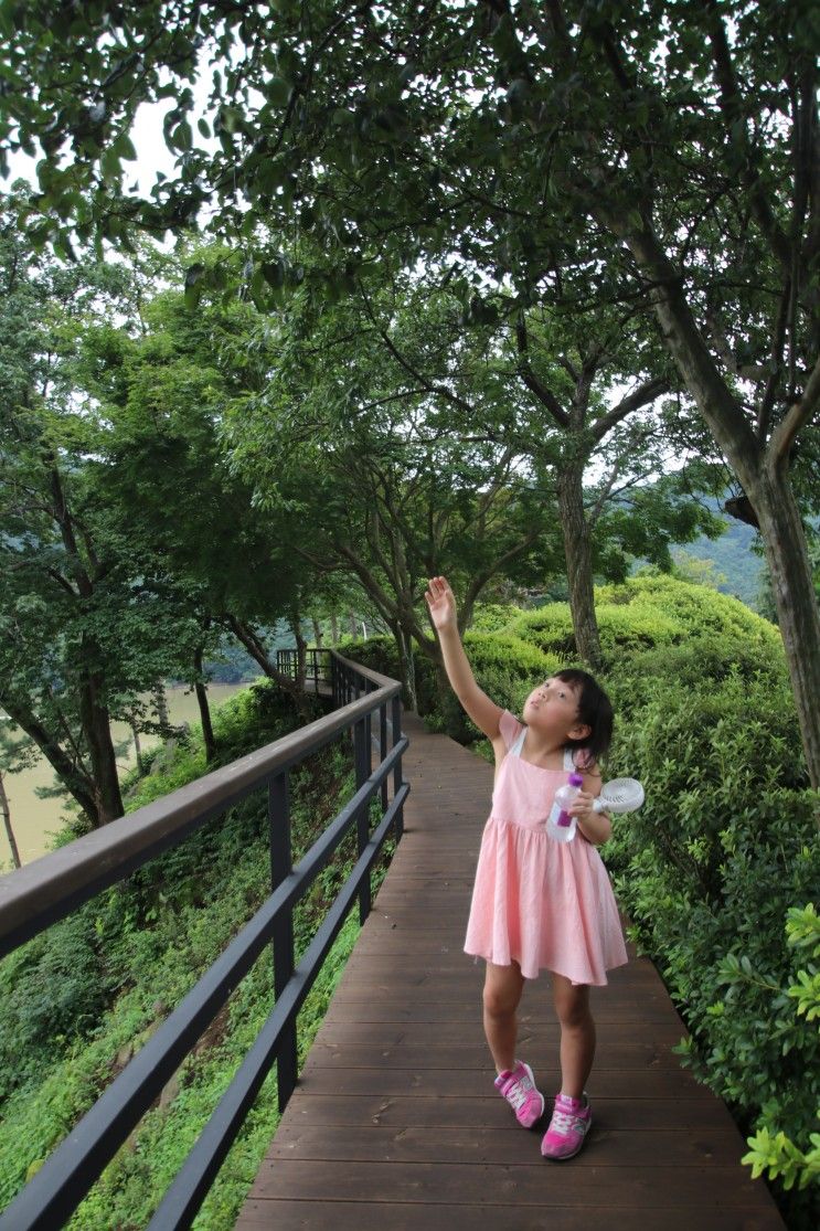 대전 근교 가볼만한 곳 아이와 함께 옥천 수생식물학습원 천상의 정원 가세요