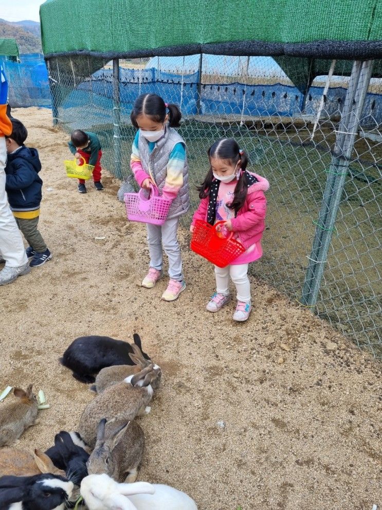 경북 칠곡 체험농장 '하루' 아이들 온종일 즐겁게 놀아요:-)