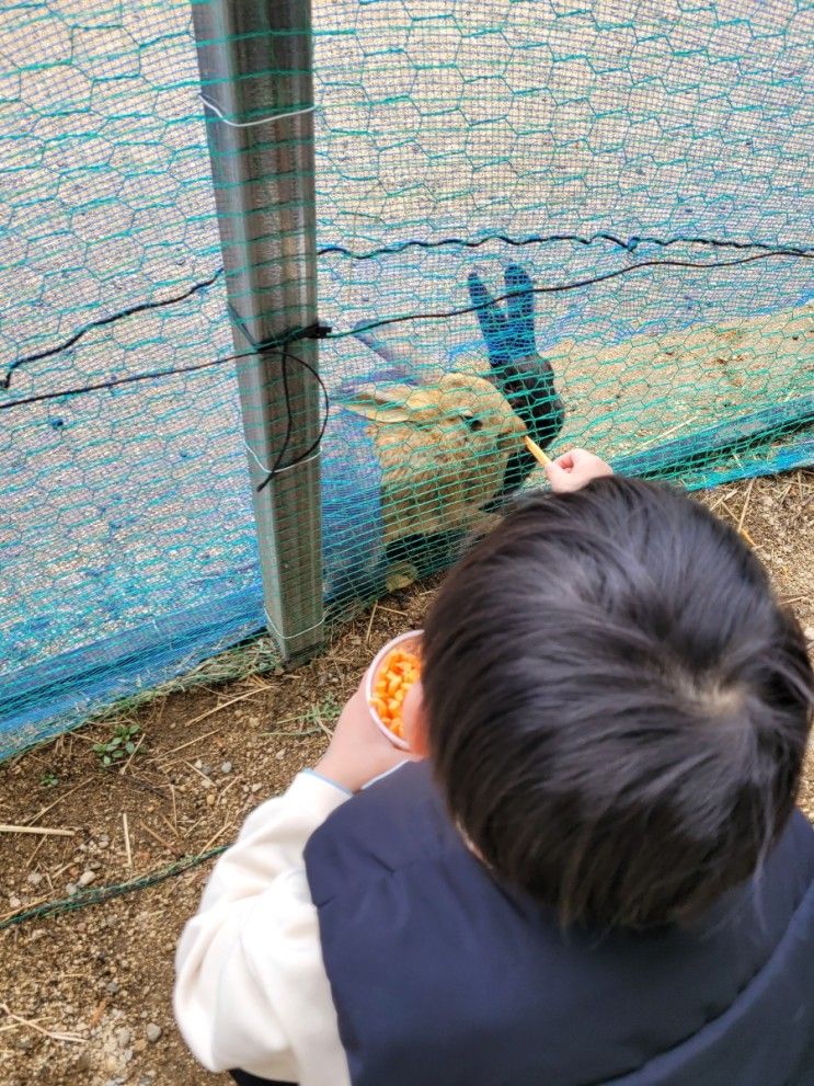 대구 근교 아이와 놀기 좋은 곳 :: 하루체험농장