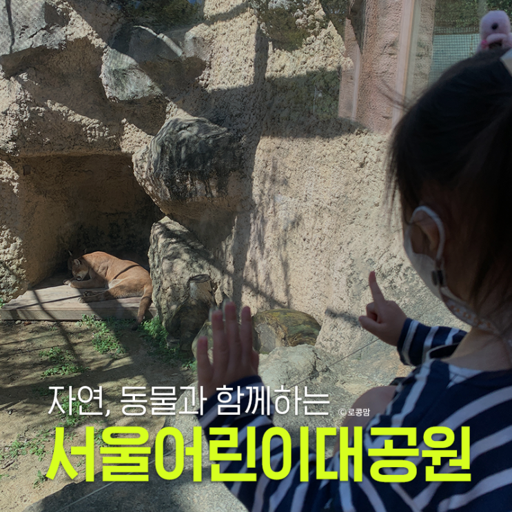 서울어린이대공원 동물원, 식물원, 꿈틀꿈틀 놀이터 후기와 주차팁 주차요금 안내