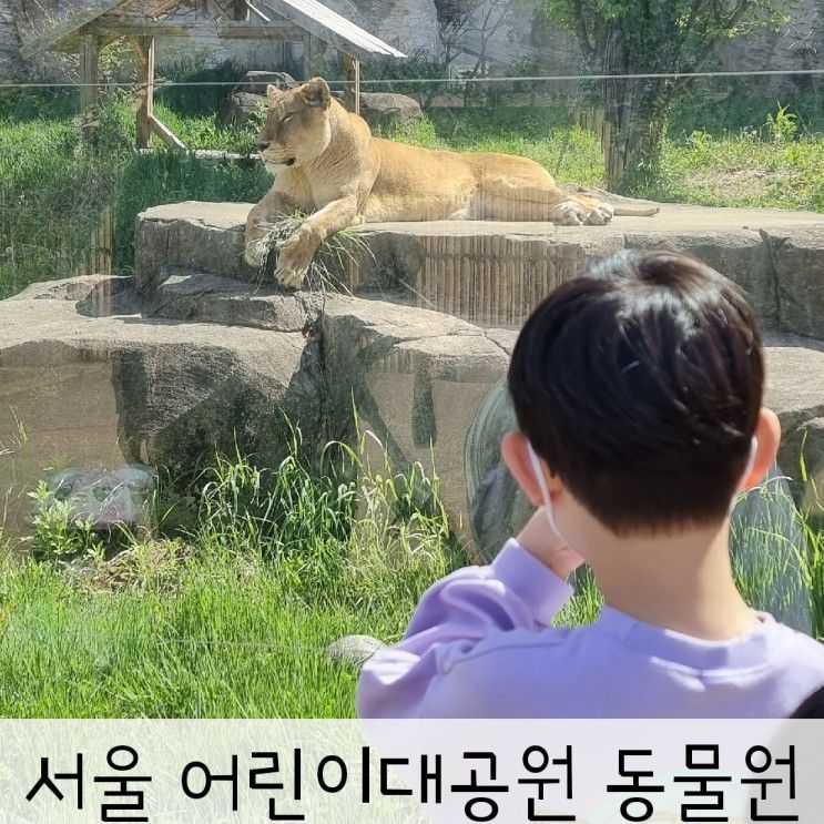 서울 아이와 가볼만한곳 추천 어린이대공원 동물원 :)