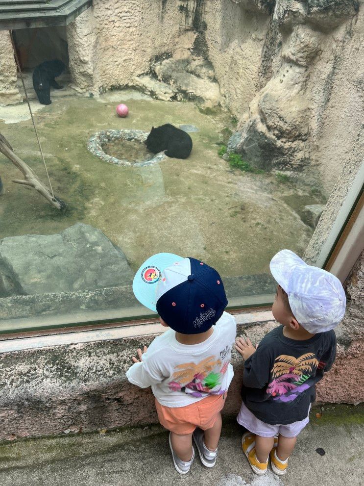 서울 아이와 가볼만한곳 : 광진구 서울어린이대공원 동물원, 유모차 끌고 아기와 가볍게 산책하기 좋은 곳