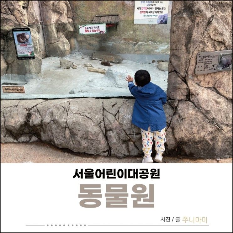 3살 어린이 서울어린이대공원 동물원 다녀왔답니다.