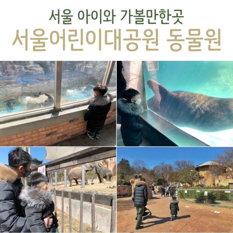 서울어린이대공원 동물원 아이와 가볼만한곳