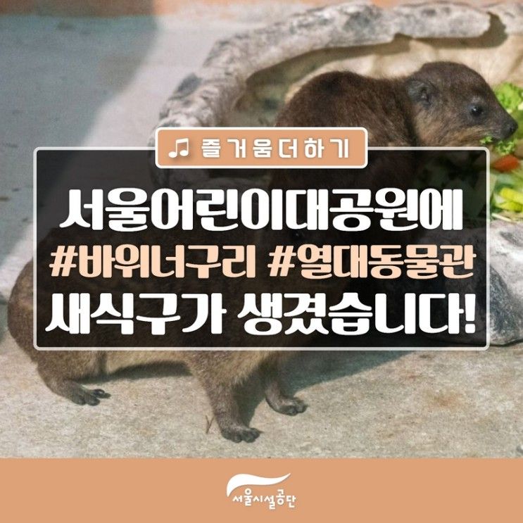 서울어린이대공원 동물원에 바위너구리가 왔습니다!