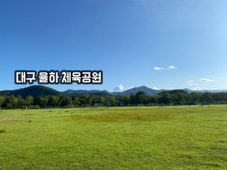 [대구 동구] 대구 율하 체육공원 맨발 걷기