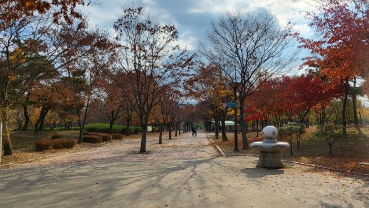 율하체육공원, 라라코스트 율하점.