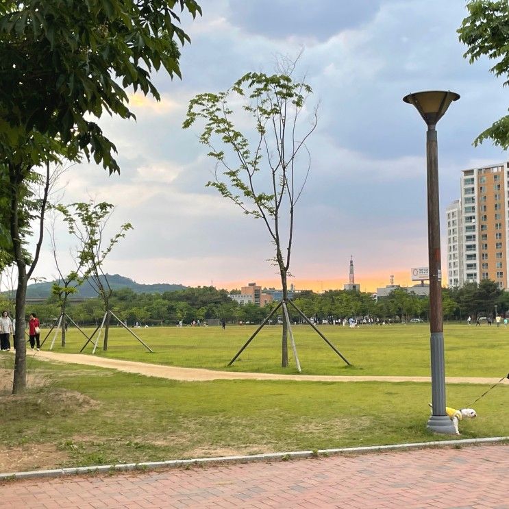 율하입맛자유구역 율하광장 박주영 축구장, 율하체육공원...