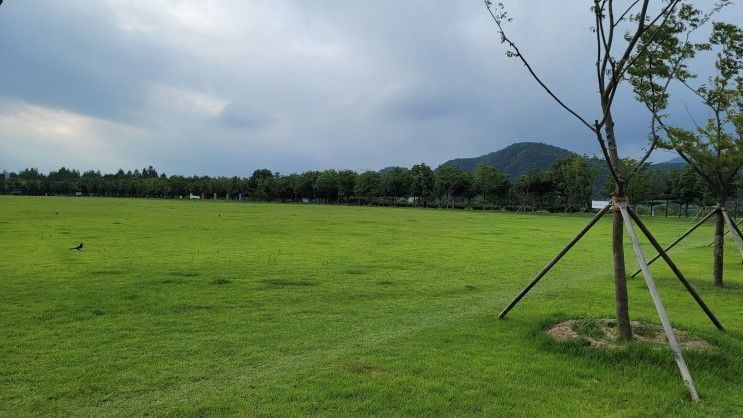 여름엔 맨발걷기, EARTHING! (대구 율하체육공원)