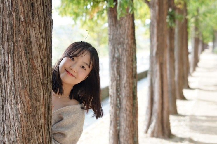 율하체육공원 단풍(대구 메타세콰이어 길)