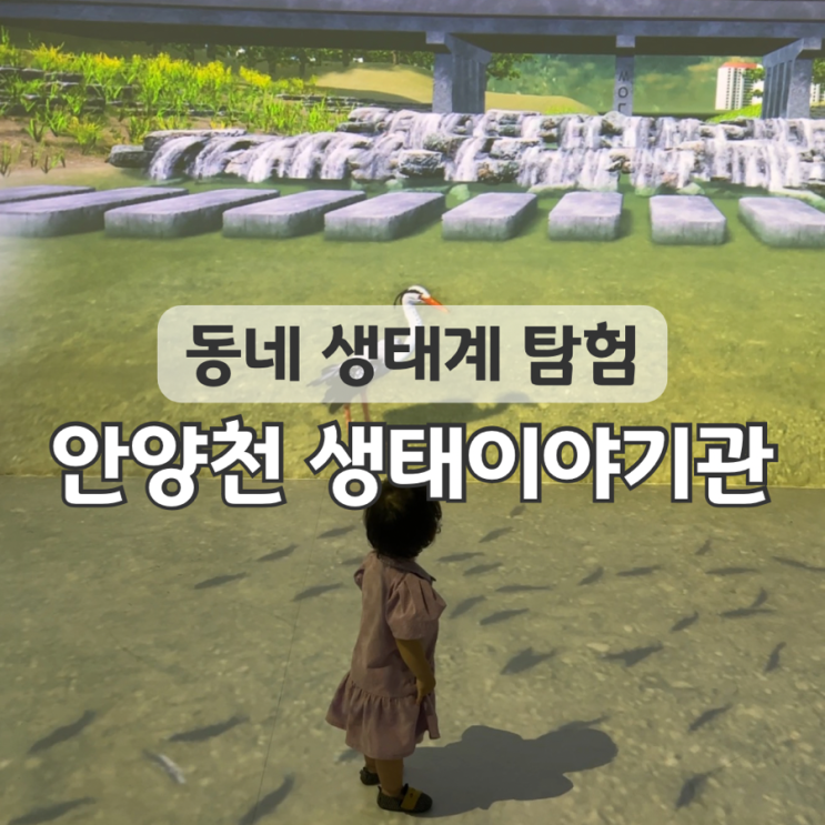 안양천생태이야기관 작지만 쏠쏠한 체험거리(보트 투어...