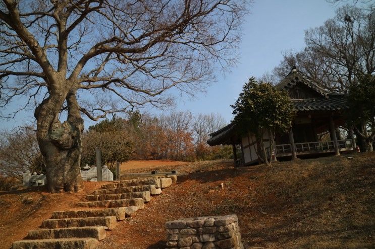 영산강 자전거길-일백리 코스 무안 식영정 라이딩