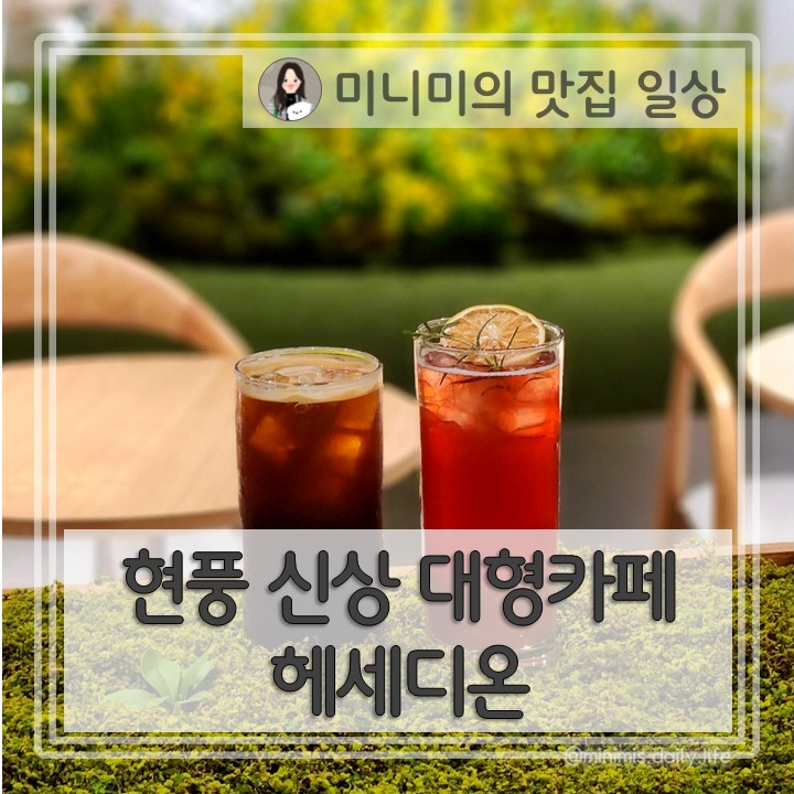 비슬산 헤세디온 대구근교 대형카페 내돈내산, 유채꽃이 있는...