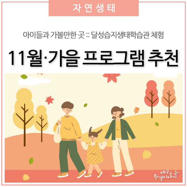 아이들과 가볼만한 곳 :: 대구달성습지생태학습관 11월·가을...