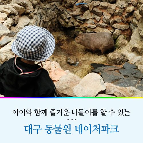 아이와 나들이하기 좋았던 대구 동물원 네이처파크