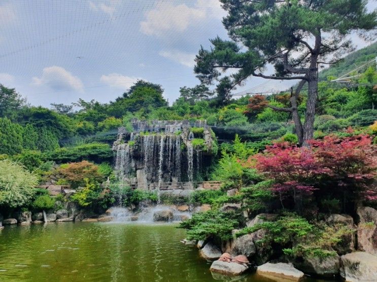 대구 아이와 가볼만한 곳, 세시간 순삭 대구동물원 네이처파크~♡