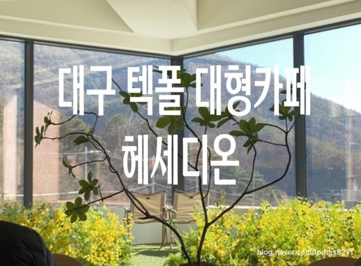 [대구/달성군] 유가 대형카페 헤세디온 ☕️